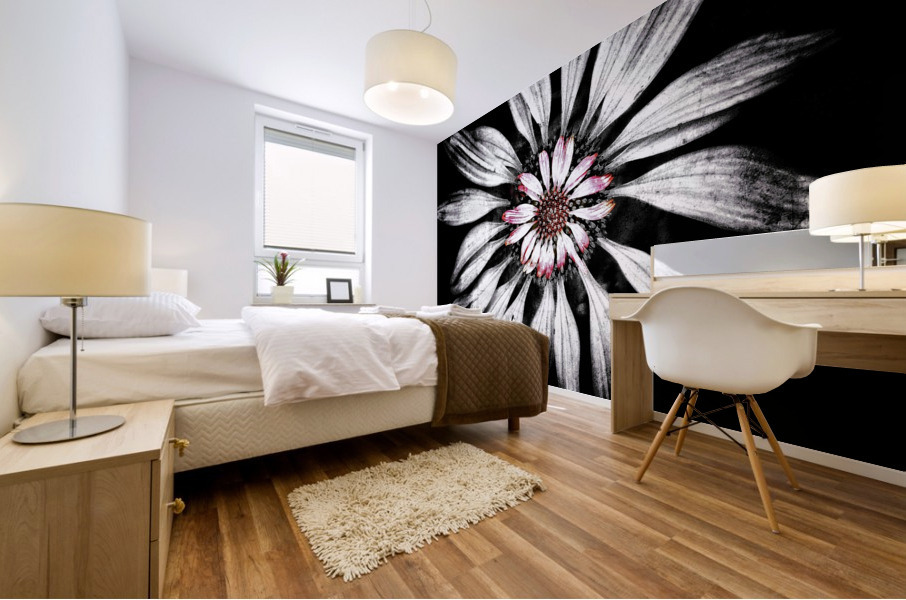 V671 Mural print