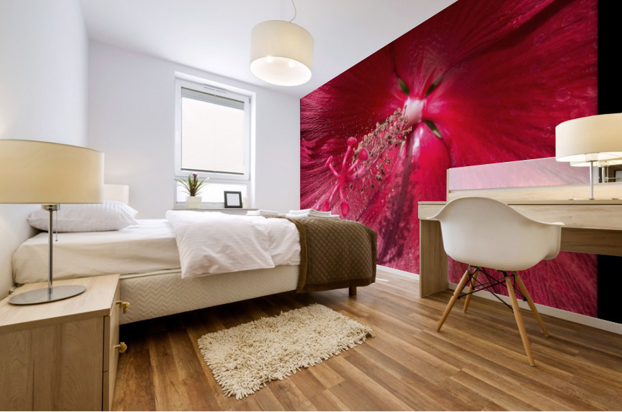 V672 Mural print