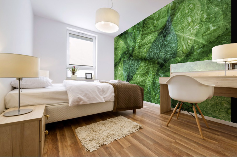 V679 Mural print