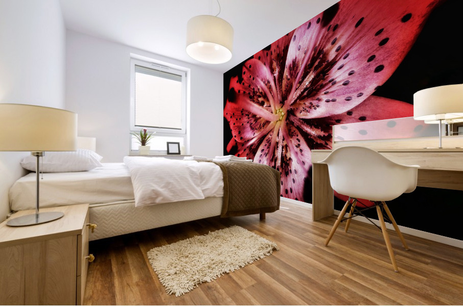 V686 Mural print