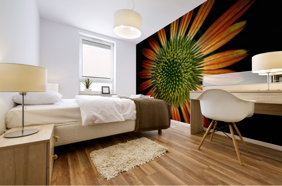 V691 Mural print
