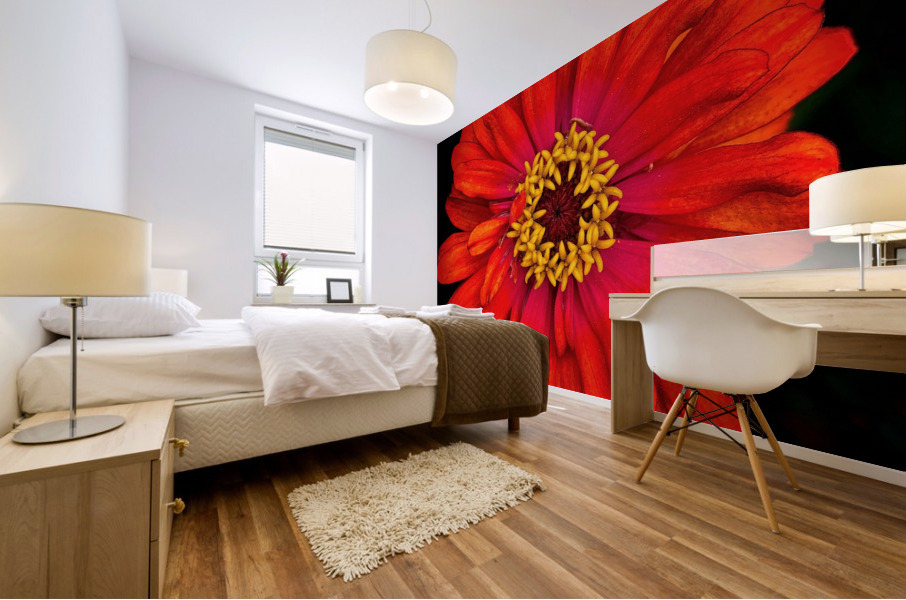 V693 Mural print