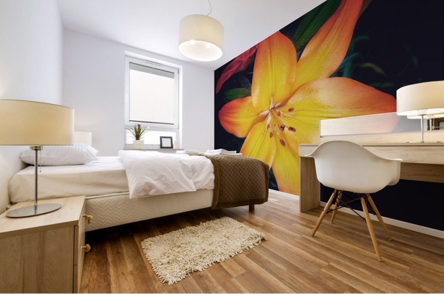 V730 Mural print