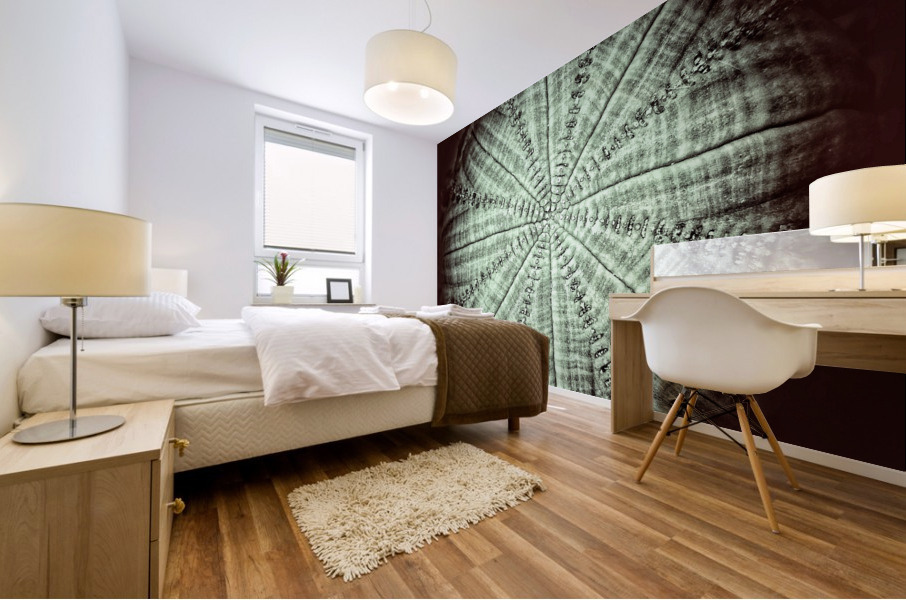 V734 Mural print