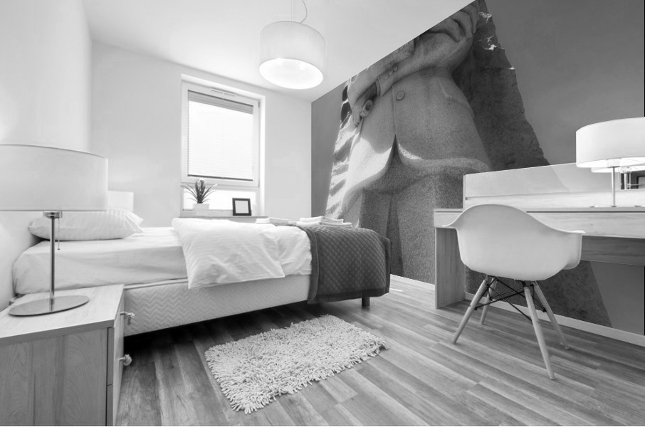 V735 Mural print