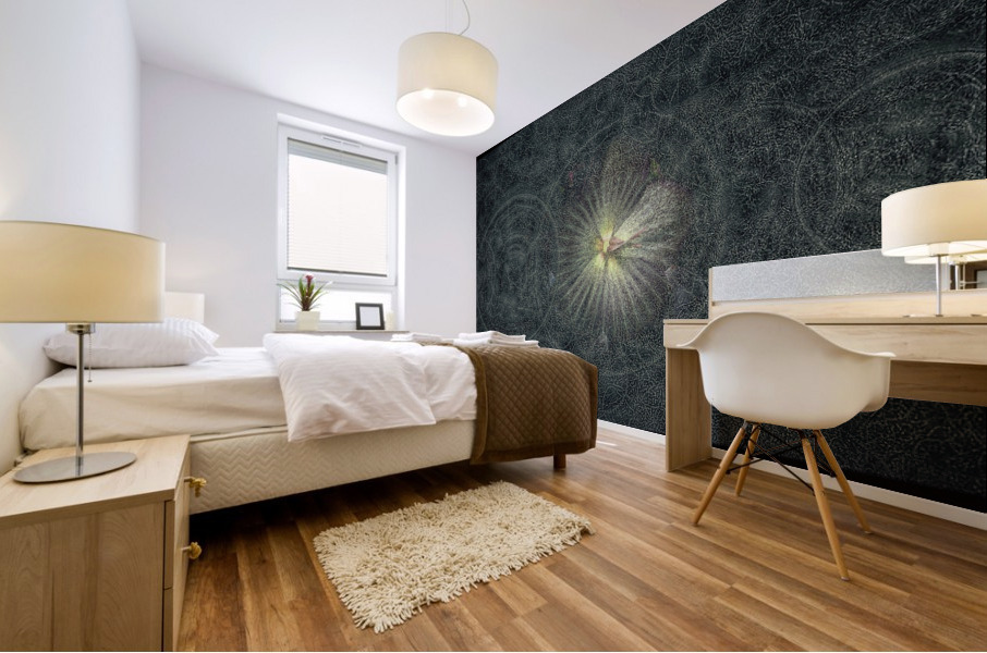 V738 Mural print