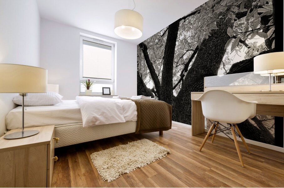 V802 Mural print