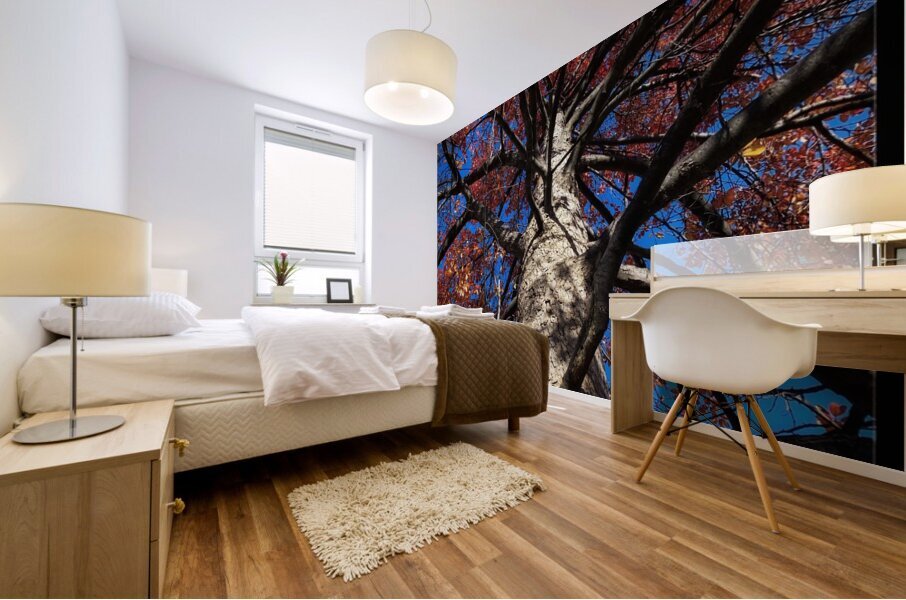V877 Mural print