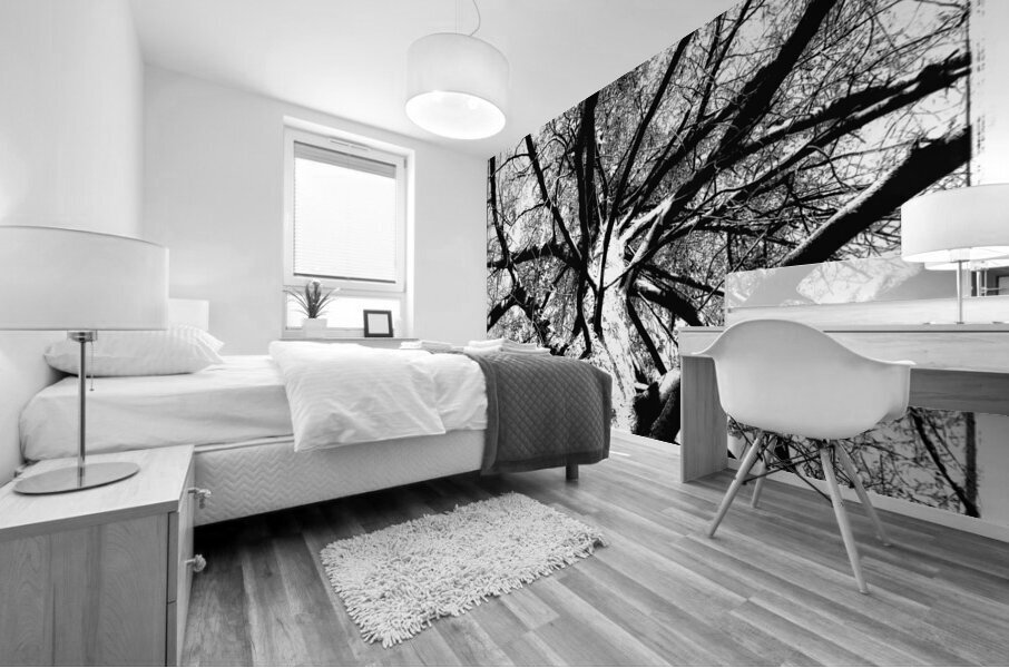 V879 Mural print