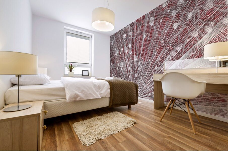 V916 Mural print