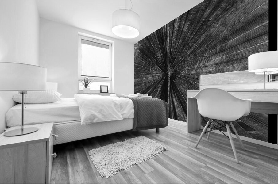 V918 Mural print