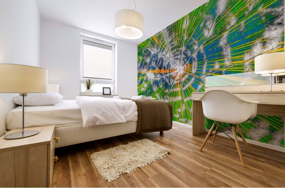 V935 Mural print