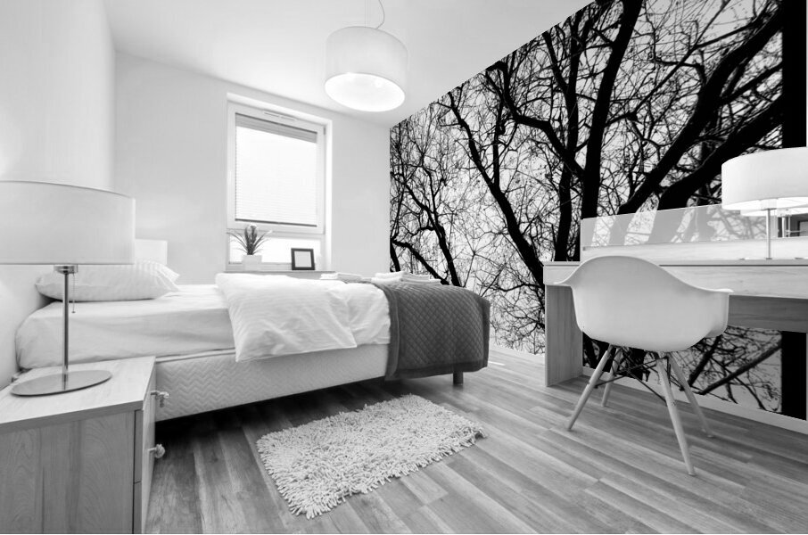 V970 Mural print