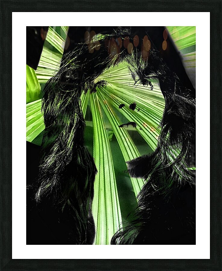 V1056 Picture Frame print