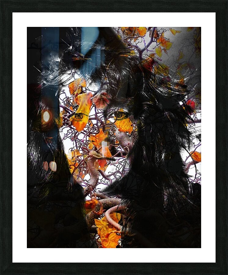 V1058 Picture Frame print