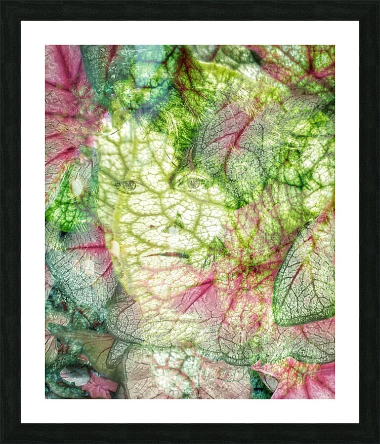 V1061 Picture Frame print