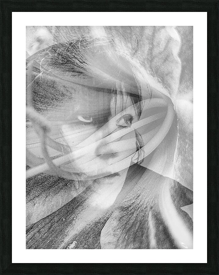 V1062 Picture Frame print