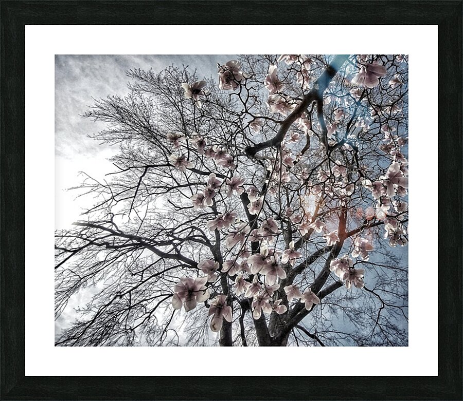 V1069 Picture Frame print