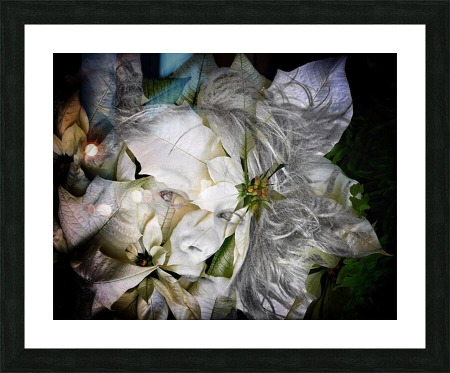 V1071 Picture Frame print