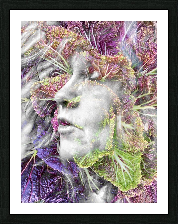 V1076 Picture Frame print