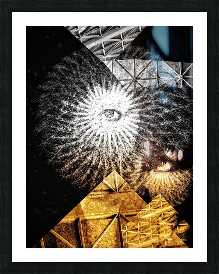 V1083 Picture Frame print