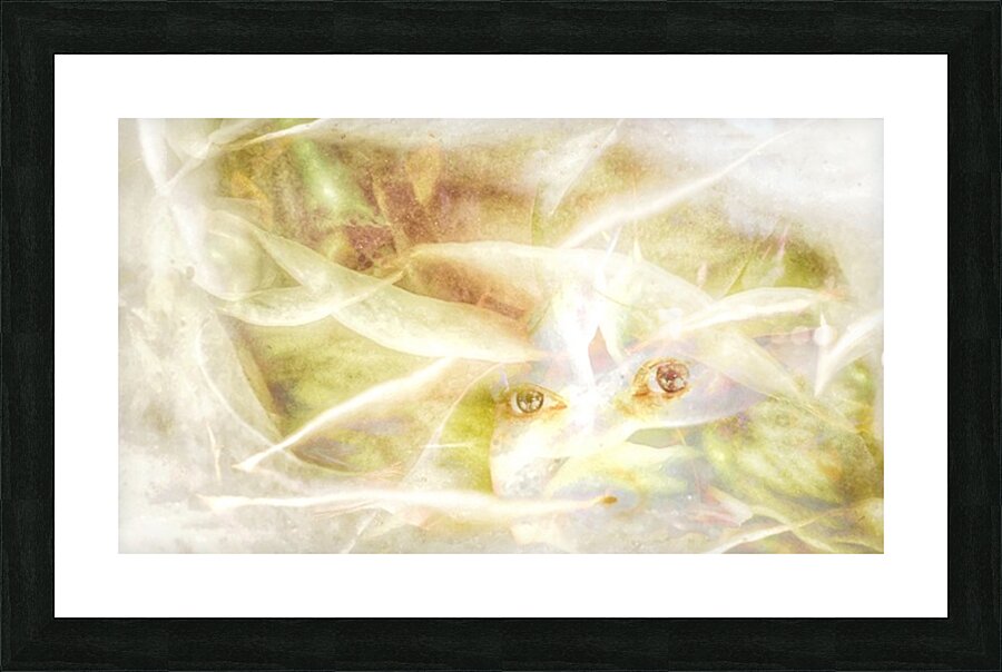 V1085 Picture Frame print