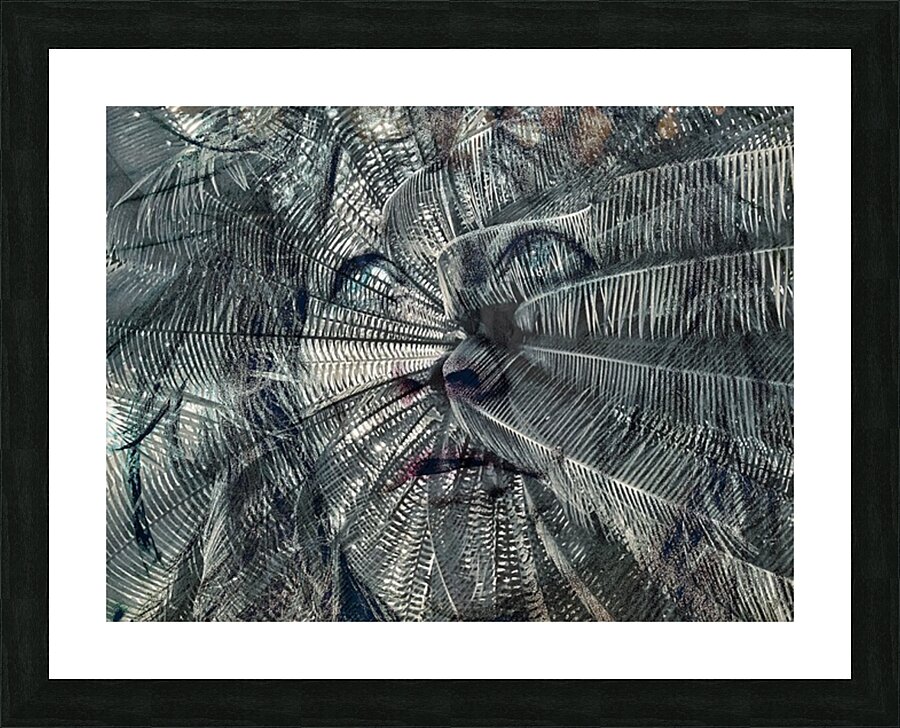 V1088 Picture Frame print