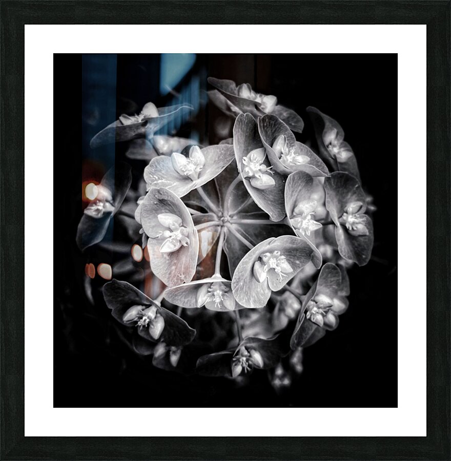 V1089 Picture Frame print