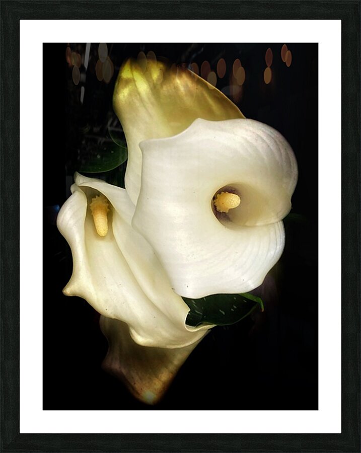 V1091 Picture Frame print