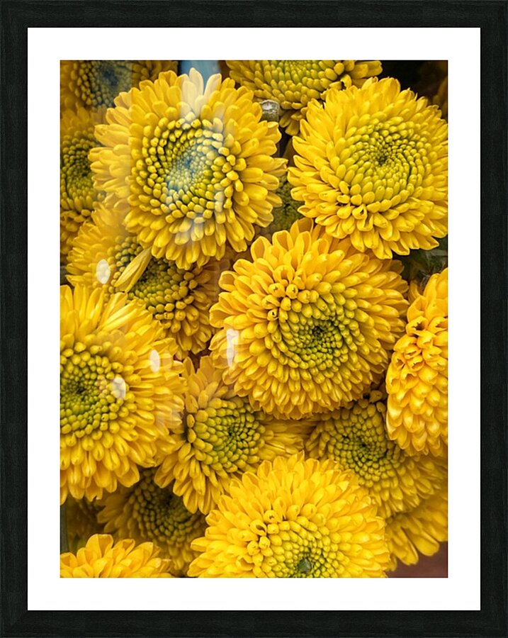 V1092 Picture Frame print