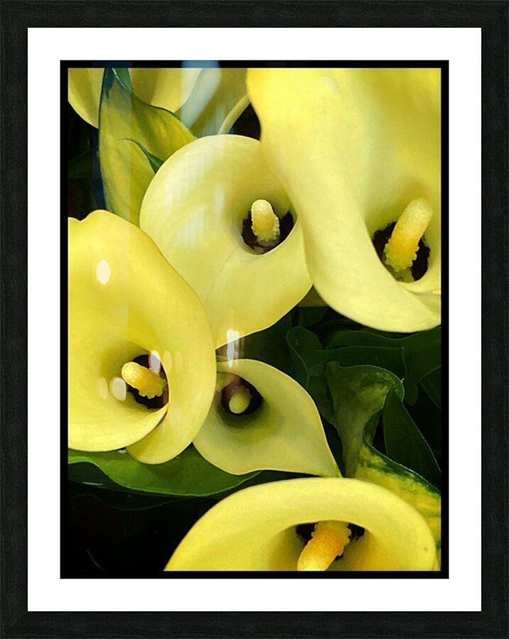 V1093 Picture Frame print