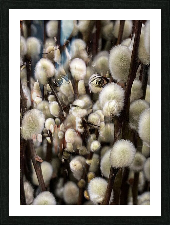 V1094 Picture Frame print