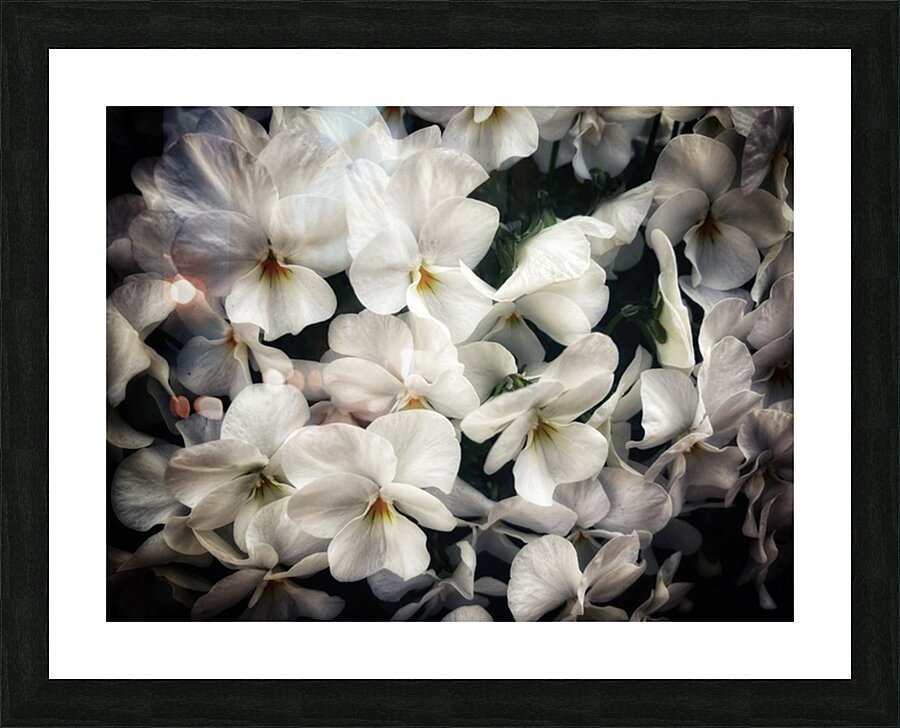V1095 Picture Frame print