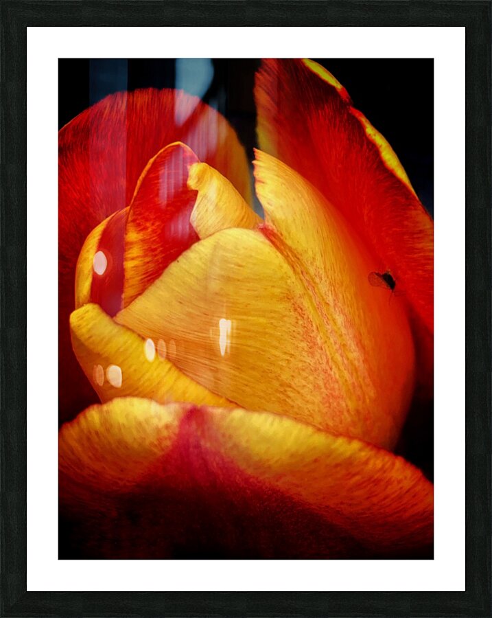 V1096 Picture Frame print