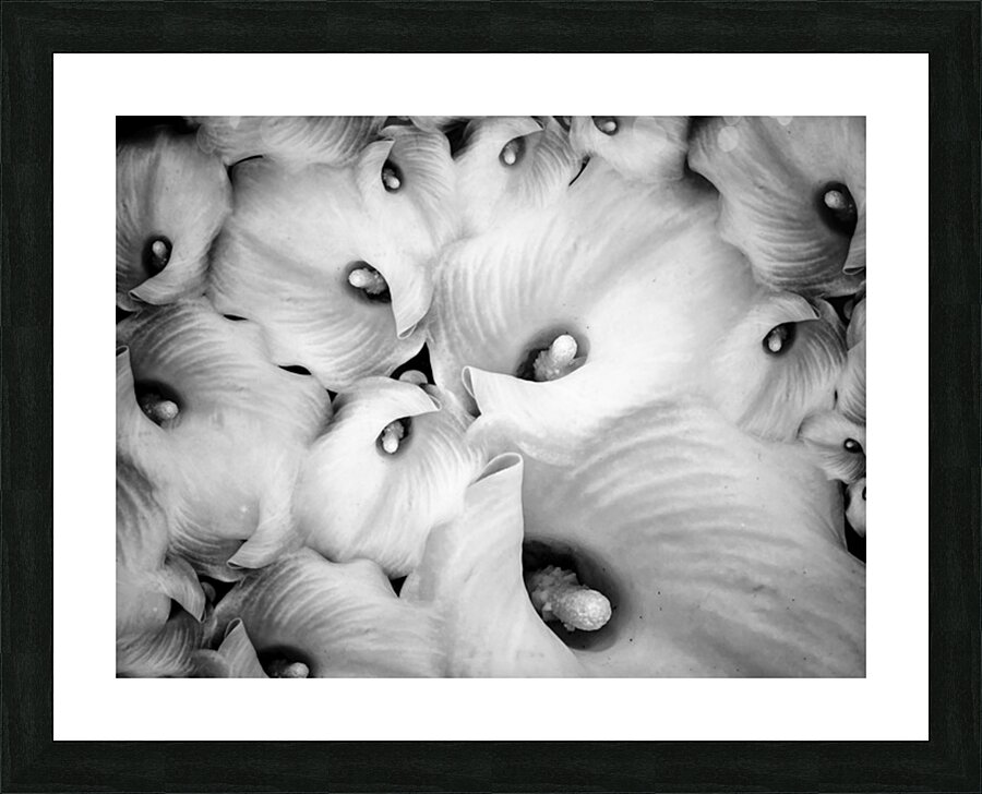 V1098 Picture Frame print