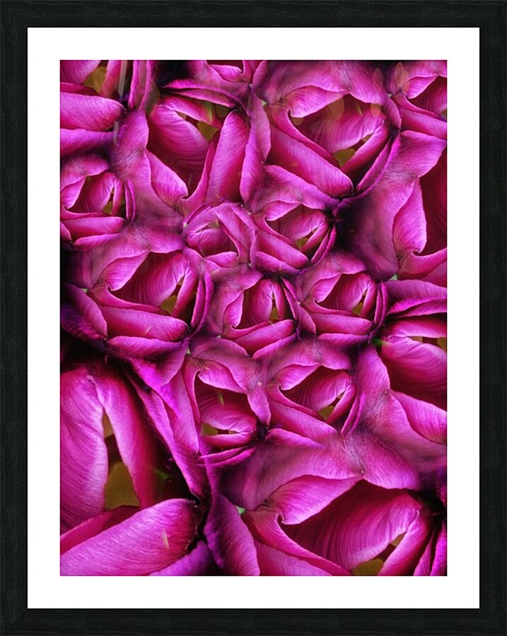 V1099 Picture Frame print