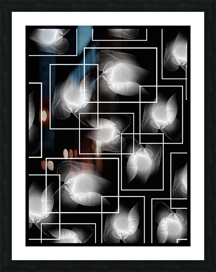 V1100 Picture Frame print