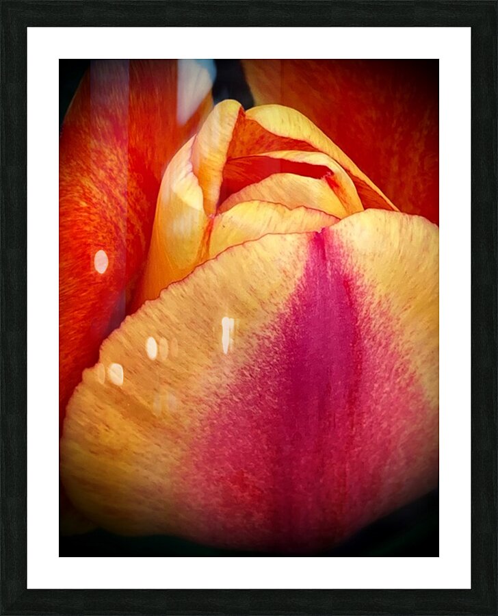 V1101 Picture Frame print