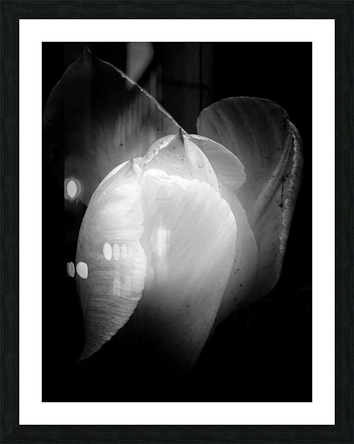 V1102 Picture Frame print