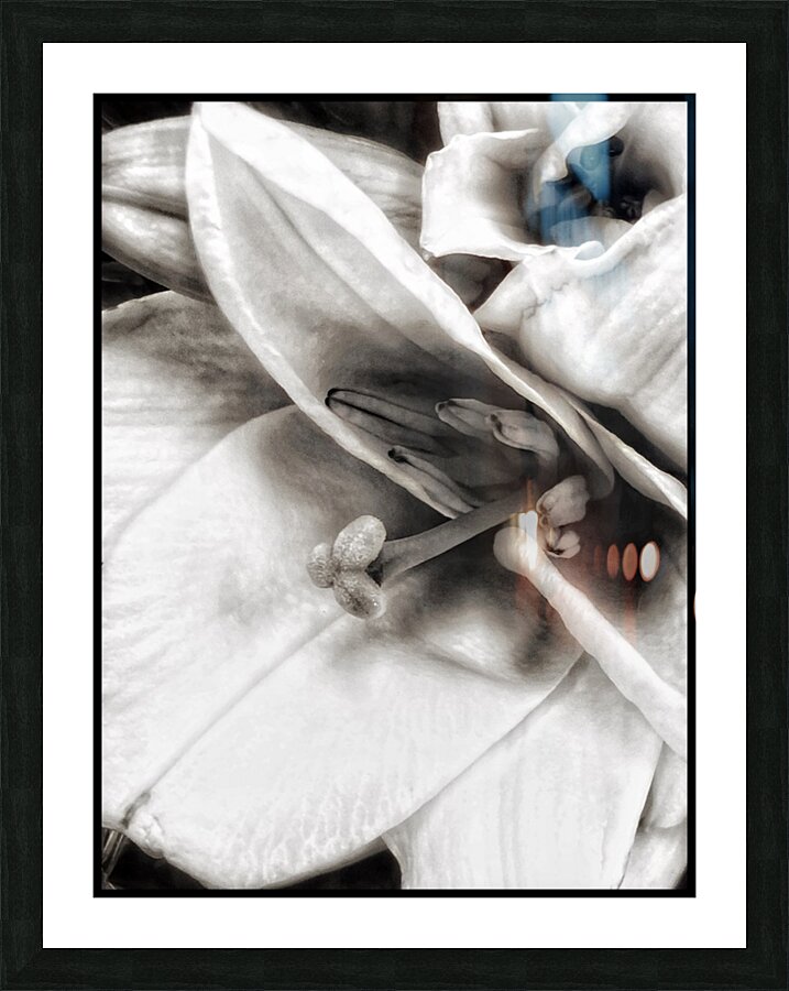 V1103 Picture Frame print