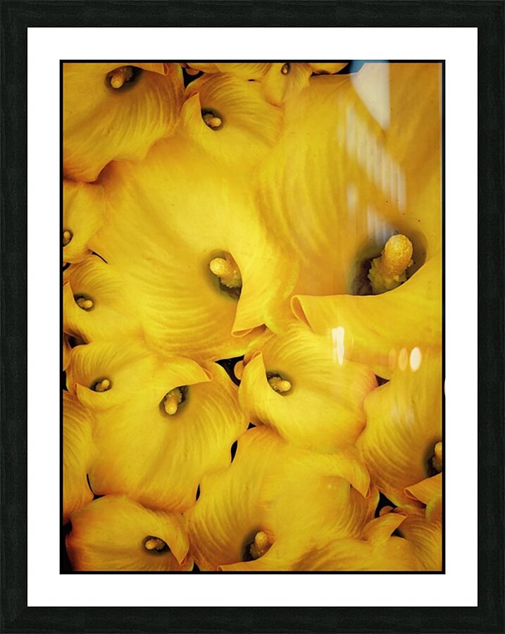 V1105 Picture Frame print