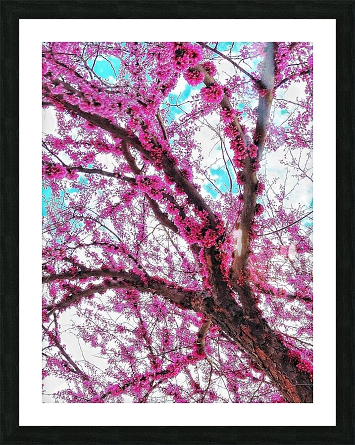 V1106 Picture Frame print