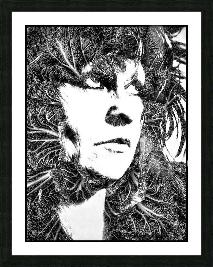 V1109 Picture Frame print