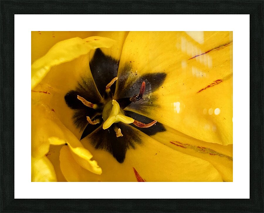 V1118 Picture Frame print