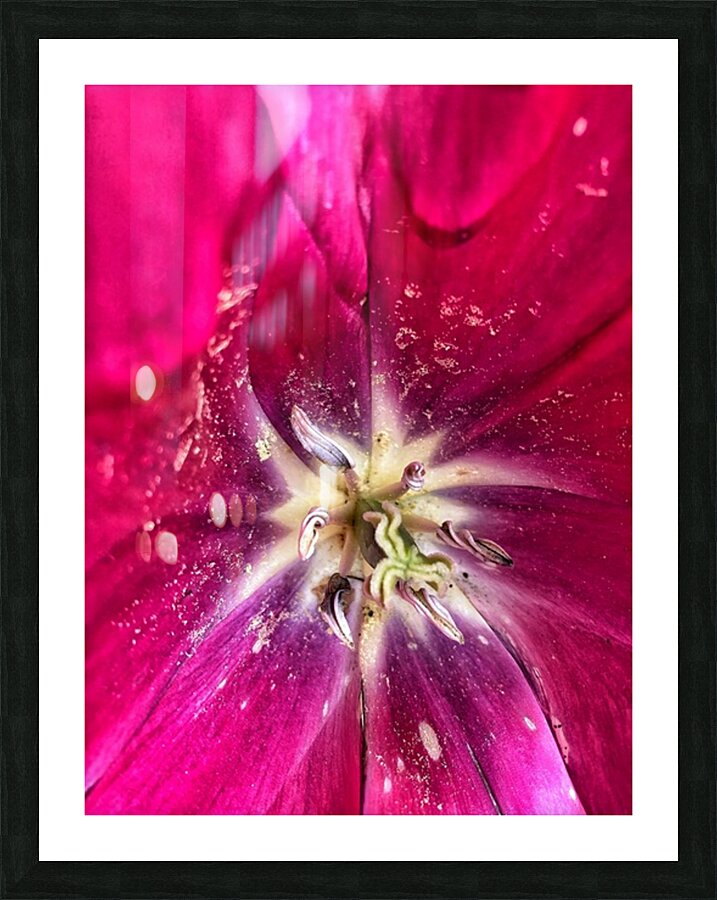 V1119 Picture Frame print