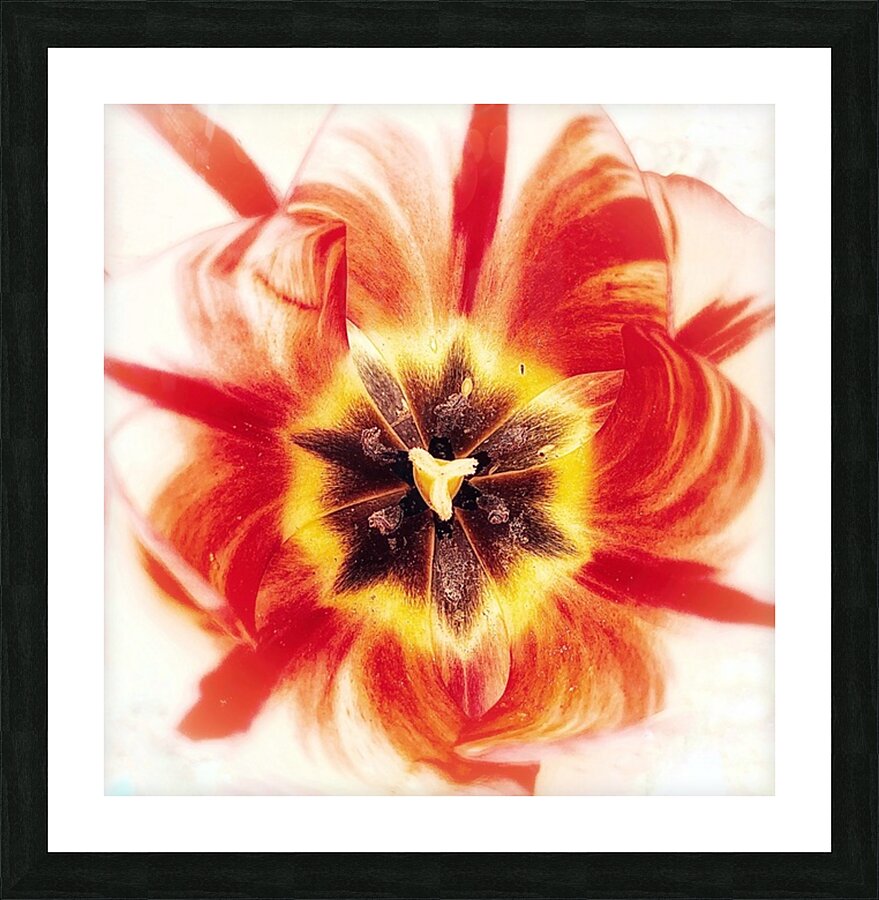 V1120 Picture Frame print