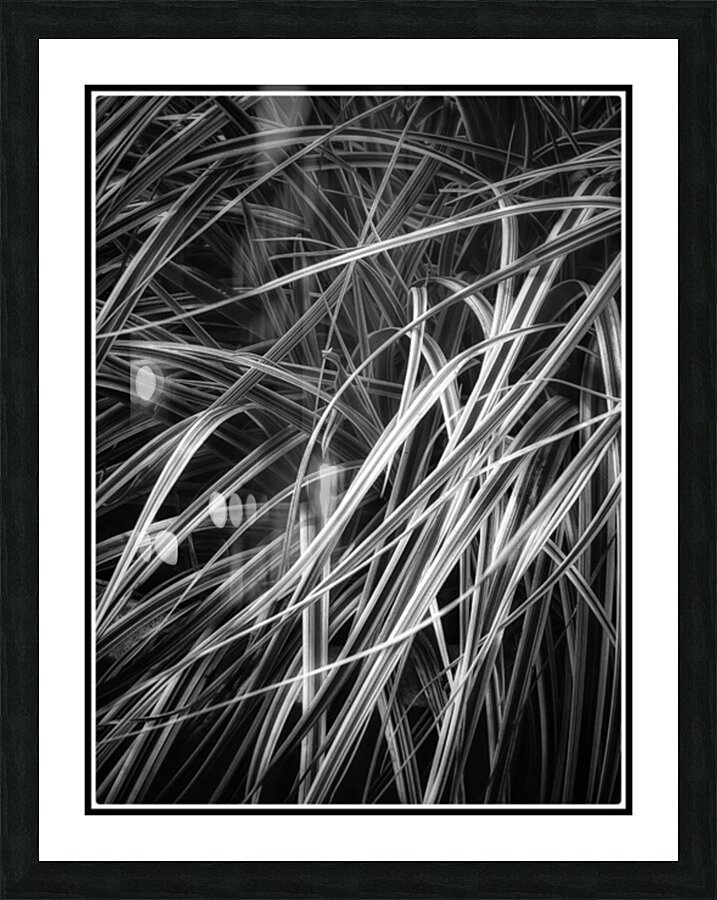 V1121 Picture Frame print