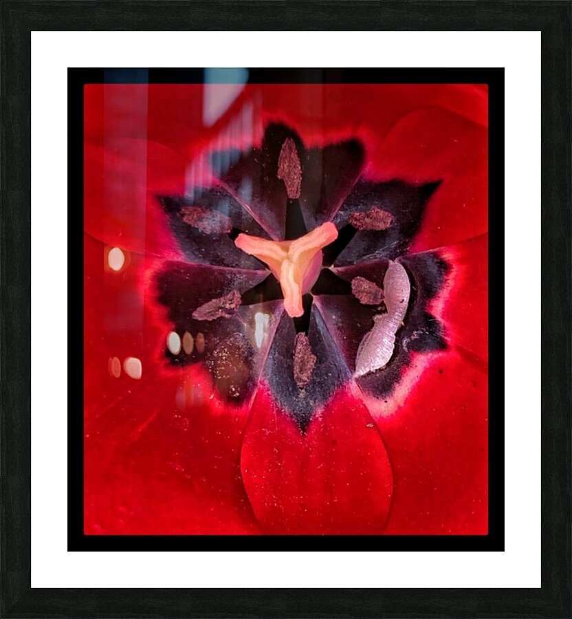 V1122 Picture Frame print