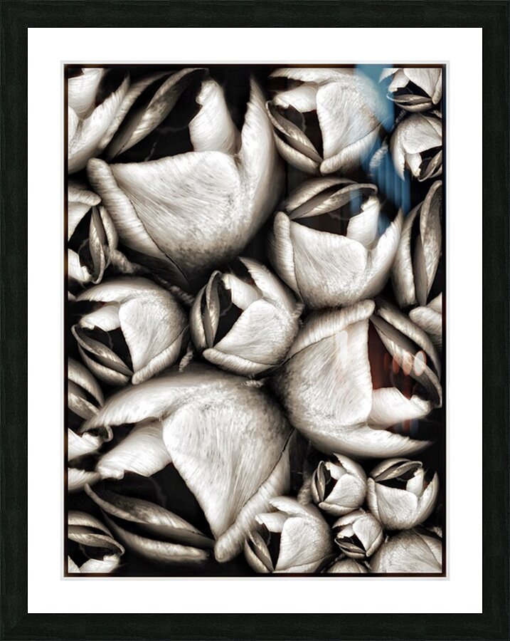 V1123 Picture Frame print