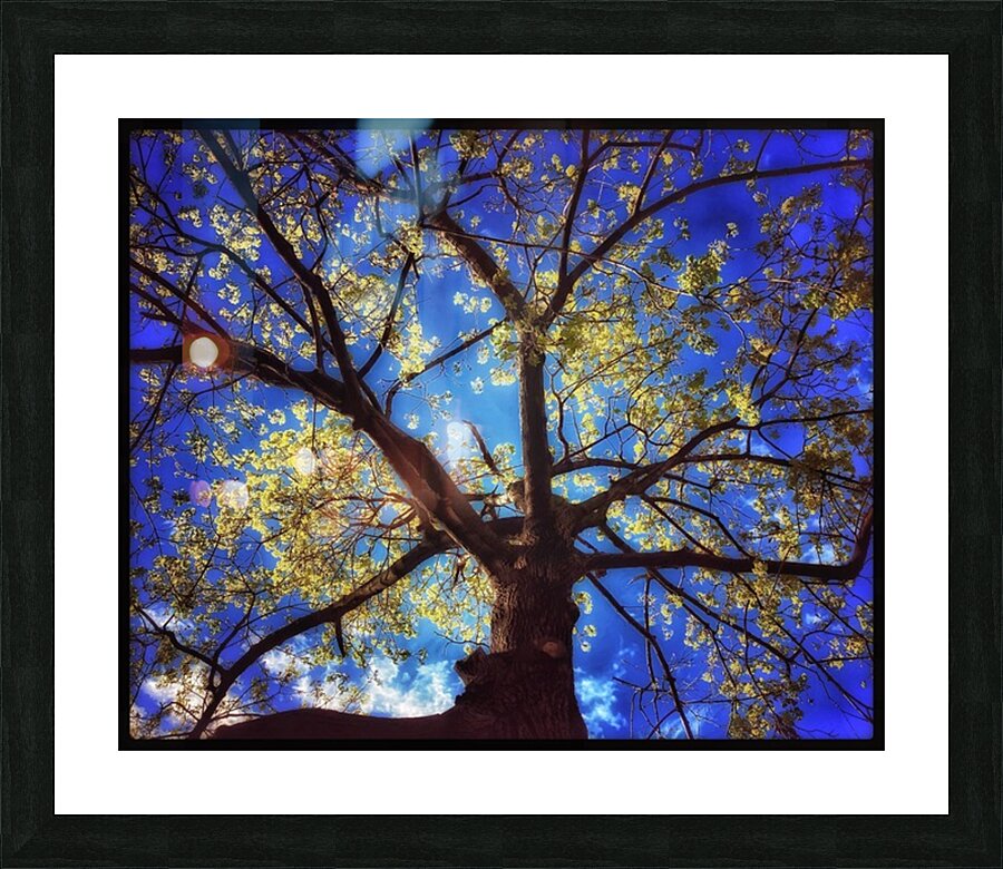 V1124 Picture Frame print